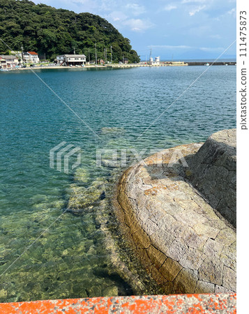 beautiful scenery in the park 111475873