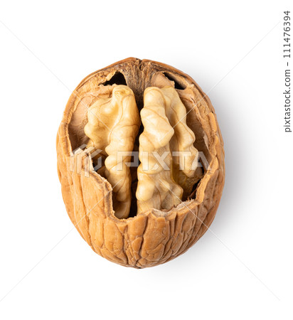 Walnut on white background Walnut on white background 111476394