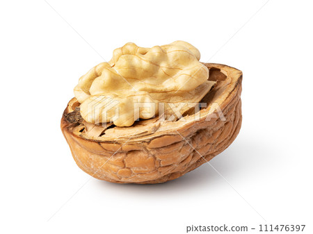Walnut on white background 111476397