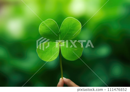 A hand holding a four leaf clover 111476852