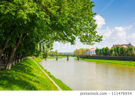 longest linden alley in europe 111476934