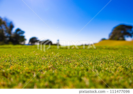 Brilliant greens and course of the long course, a golf course with a refreshing blue sky (Yugawara Town, Kanagawa Prefecture) Brilliant greens and course of the long course, a golf course with a refreshing blue sky (Yugawara Town, Kanagawa Prefecture) 111477096