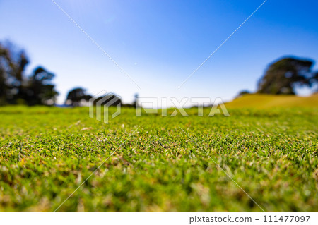 Brilliant greens and course of the long course, a golf course with a refreshing blue sky (Yugawara Town, Kanagawa Prefecture) Brilliant greens and course of the long course, a golf course with a refreshing blue sky (Yugawara Town, Kanagawa Prefecture) 111477097