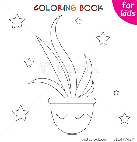 Houseplants. Indoor exotic flowers in a flower pot. Coloring book page template Houseplants. Indoor exotic flowers in a flower pot. Coloring book page template 111477437