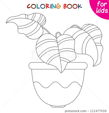 Houseplants. Calathea. Indoor exotic flowers in a flower pot. Coloring book page template Houseplants. Calathea. Indoor exotic flowers in a flower pot. Coloring book page template 111477439