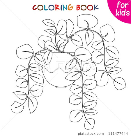 Houseplants. Ampelous plant. Indoor exotic flowers in a flower pot. Coloring book page template Houseplants. Ampelous plant. Indoor exotic flowers in a flower pot. Coloring book page template 111477444