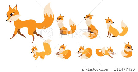 Funny collection of red foxes in different poses. Emotional little animal. Cartoon animal character design. Flat vector illustration 111477459