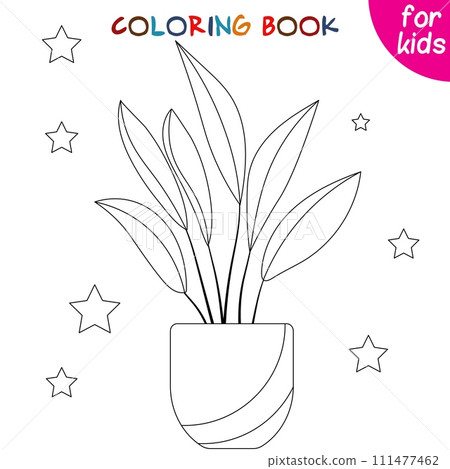 Houseplants. Long leaves. Indoor exotic flowers in a flower pot. Coloring book page template 111477462