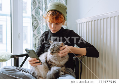 teenage girl sitting on chair, holding cat and looking at phone teenage girl sitting on chair, holding cat and looking at phone 111477549