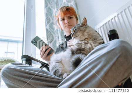teenage girl sitting on chair, holding cat and looking at phone teenage girl sitting on chair, holding cat and looking at phone 111477550