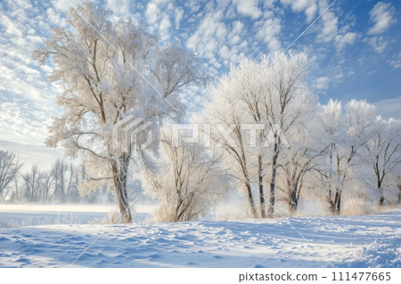Trees covered with hoarfrost. Beautiful winter landscape with snow covered trees Trees covered with hoarfrost. Beautiful winter landscape with snow covered trees 111477665