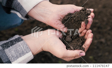 woman farmer pours environmentally friendly soil hands, touching soil field with fingers, farmer organic gardening engineer, growing seeds, growing vegetables field farm, business, hands soil close-up 111478147