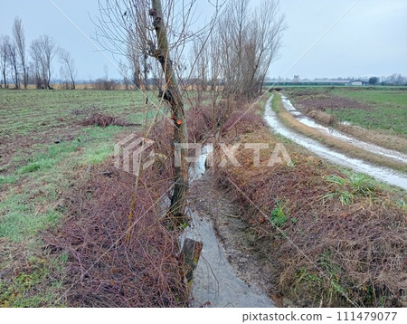 Rural view with fields in winter during rain Rural view with fields in winter during rain 111479077
