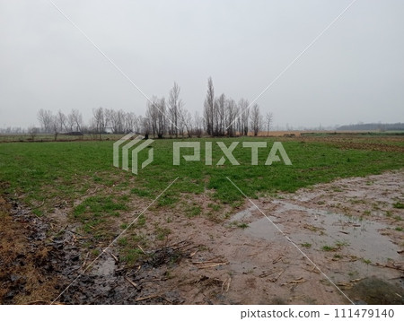 Rural view with fields in winter during rain 111479140
