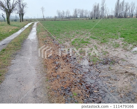 gravel road in a rural road gravel road in a rural road 111479166