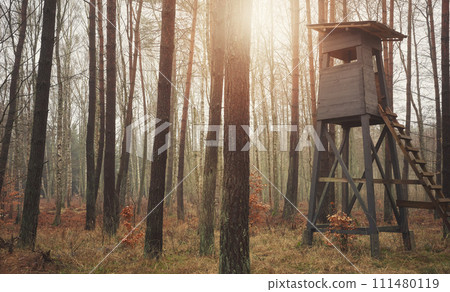 Photo of a deer hunting tower in a forest. 111480119