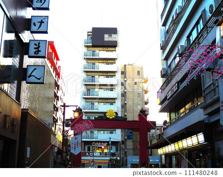 鳥居和門前仲町的道路 111480248