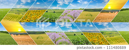 Agricultural fields and blue sky. collage. Wide photo. 111480889