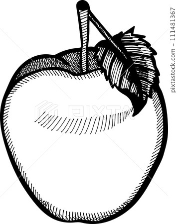 Apple fruit hand drawn engraving style vector illustrations. Gala apple fruit drawing vintage clip art isolated on white background. Apple fruit hand drawn engraving style vector illustrations. Gala apple fruit drawing vintage clip art isolated on white background. 111481367