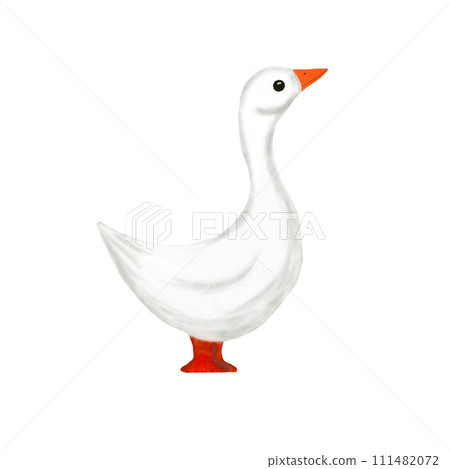 Watercolor goose on white background. Hand painted watercolor illustration isolated on white background 111482072