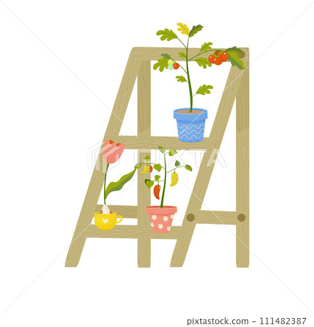 plants on a plant shelf on the balcony, pepper and tomato in a pot, home gardening 111482387