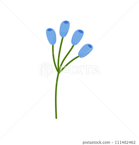 Hand drawn simple blue branch flower, spring summer plant on white isolated background 111482462