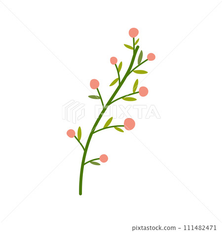 Hand drawn simple vector with berries, spring summer plant on white isolated background 111482471
