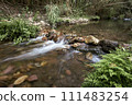 A small waterfall in a mountain stream 111483254