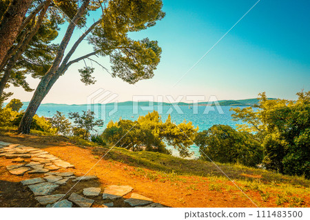 A Beautiful Display of Sun, Sea, and Pine Trees on Croatia's Coast, Pine Trees A Beautiful Display of Sun, Sea, and Pine Trees on Croatia's Coast, Pine Trees 111483500
