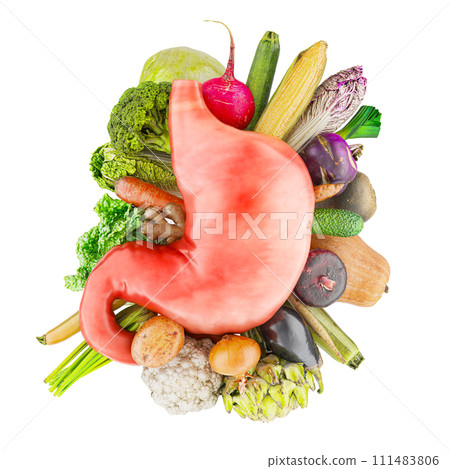 Vegetables for stomach. Healthy food for Digestive System concept. 3D rendering 111483806