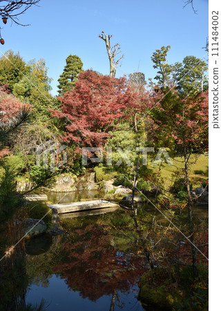 秋季橫香園大藏院 秋季橫香園大藏院 111484002