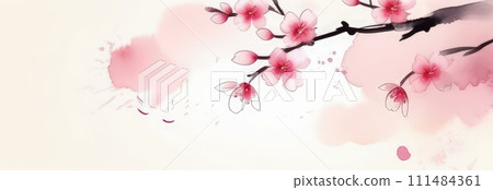 Cherry blossom flower blooming. Pink sakura flower background. Pink cherry blossom, isolated Sakura tree branch. For card, banner, invitation, social media post, poster, mobile apps, advertising. 111484361