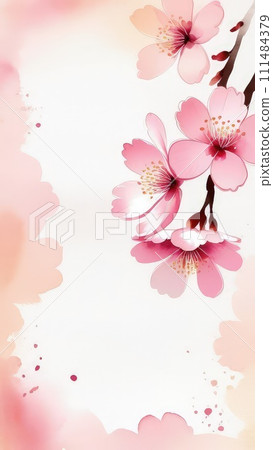 Cherry blossom flower blooming. Pink sakura flower background. Pink cherry blossom, isolated Sakura tree branch. For card, banner, invitation, social media post, poster, mobile apps, advertising. 111484379