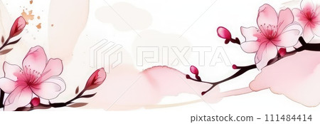 Cherry blossom flower blooming. Pink sakura flower background. Pink cherry blossom, isolated Sakura tree branch. For card, banner, invitation, social media post, poster, mobile apps, advertising. Cherry blossom flower blooming. Pink sakura flower background. Pink cherry blossom, isolated Sakura tree branch. For card, banner, invitation, social media post, poster, mobile apps, advertising. 111484414