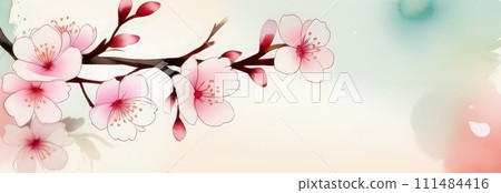 Cherry blossom flower blooming. Pink sakura flower background. Pink cherry blossom, isolated Sakura tree branch. For card, banner, invitation, social media post, poster, mobile apps, advertising. 111484416