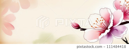 Cherry blossom flower blooming. Pink sakura flower background. Pink cherry blossom, isolated Sakura tree branch. For card, banner, invitation, social media post, poster, mobile apps, advertising. Cherry blossom flower blooming. Pink sakura flower background. Pink cherry blossom, isolated Sakura tree branch. For card, banner, invitation, social media post, poster, mobile apps, advertising. 111484418