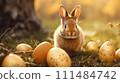 Bunny Amongst Easter Eggs. A charming rabbit sits amidst speckled Easter eggs on a grassy field background, serene Easter morning scene in golden hour light. Banner with copy space 111484742