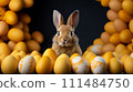 Bunny peeking over Yellow Easter Eggs. An adorable brown rabbit with many yellow Easter eggs set against a dark background 111484750