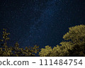 Starry night sky with tree foliage in foreground. The stars are numerous and densely scattered, clear and unpolluted view of the cosmos, a cosmic spectacle 111484754