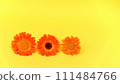 Soft gradient of calendula flowers, from fiery orange to gentle sunlit yellow on yellow background. Calendula for natural skincare or organic cosmetic lines 111484766