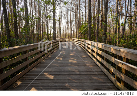 Boardwalk over wetlands of Grassy Waters Preserve in West Palm Beach, Florida. Boardwalk over wetlands of Grassy Waters Preserve in West Palm Beach, Florida. 111484818