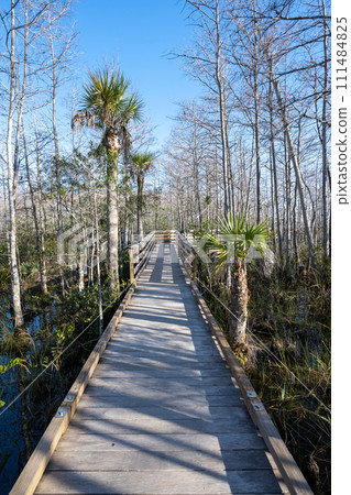 Boardwalk over wetlands of Grassy Waters Preserve in West Palm Beach, Florida. 111484825