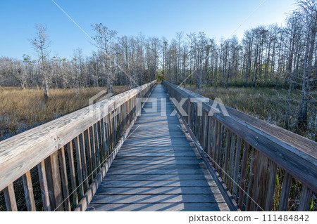 Boardwalk over wetlands of Grassy Waters Preserve in West Palm Beach, Florida. 111484842