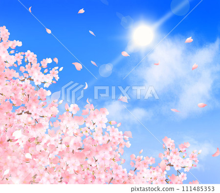 Beautiful and gorgeous cherry blossoms and petals fluttering in the refreshing blue sky of spring Cloud frame background vector material illustration Beautiful and gorgeous cherry blossoms and petals fluttering in the refreshing blue sky of spring Cloud frame background vector material illustration 111485353