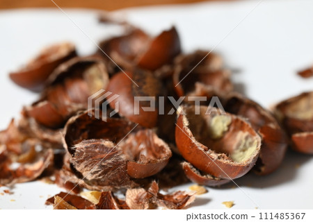 peeled chestnut 111485367