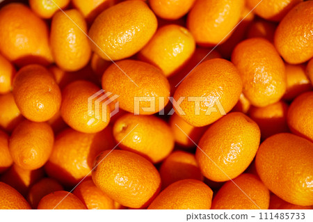 Heap of kumquat fruits. Food background and texture. Top view. 111485733