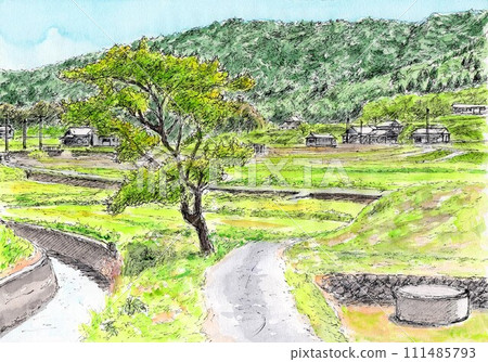 初夏的景色,綠意盎然,令人眼花撩亂 初夏的景色,綠意盎然,令人眼花撩亂 111485793