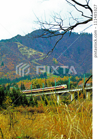 當秋天的落葉表達 111485827