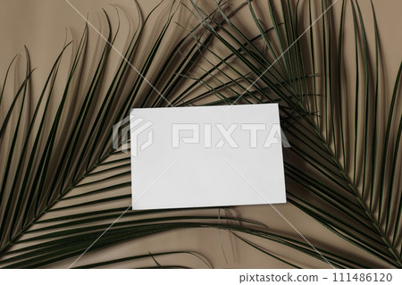 Summer tropical wedding stationery still life. Green date palm tree leaves. Empty greeting, business card or invitation mockup scene. Beige table background. Flat lay, top view, no people. Web banner. Summer tropical wedding stationery still life. Green date palm tree leaves. Empty greeting, business card or invitation mockup scene. Beige table background. Flat lay, top view, no people. Web banner. 111486120