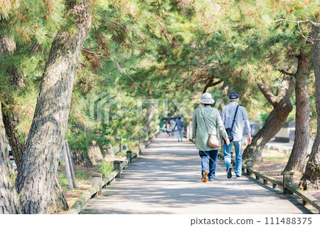 Miho no Matsubara上帝的方式 Miho no Matsubara上帝的方式 111488375